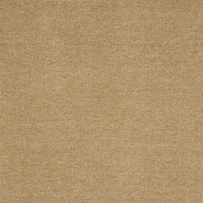Thảm cuộn văn phòng C203
